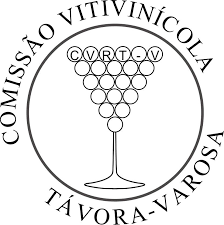 Newsletter n.º 7 - Foto 7